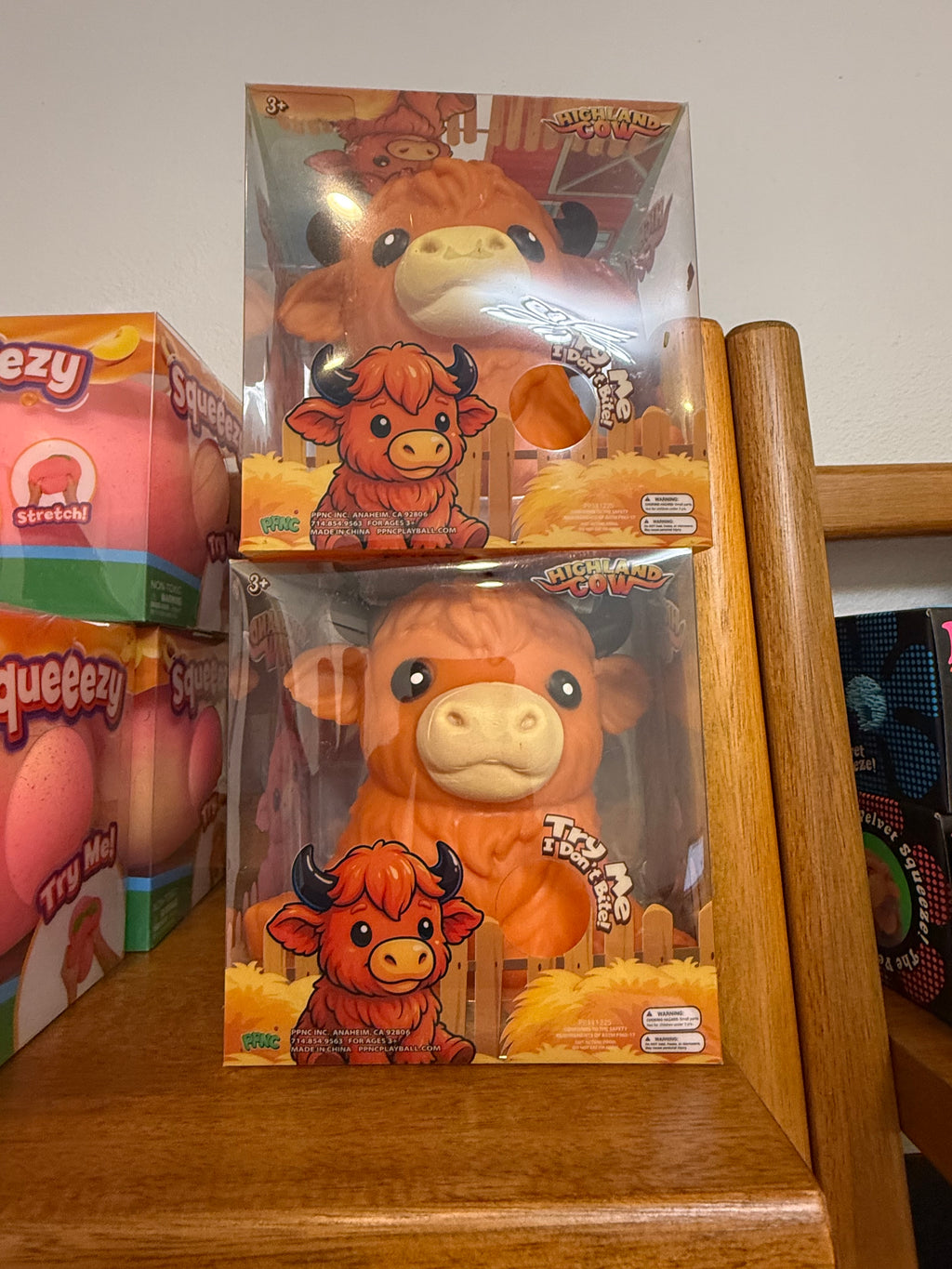 PPNC Highland Cow
